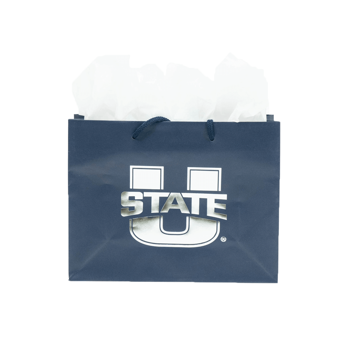 A 13 by 10 gift bag with the U-State logo.